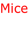 Mice