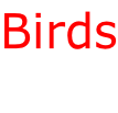 Birds