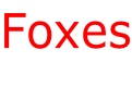 Foxes